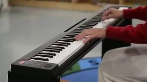 MINSINE Portable Digital Piano Keyboard 88/66 Keys Bluetooth 28 Rhythms Built-in Speaker Foldable with Sustain Pedal & Bag