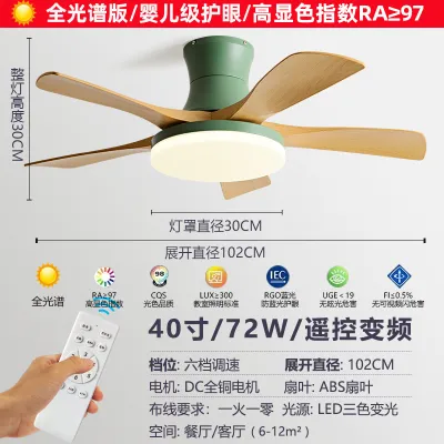 Silent Ceiling Fan Light