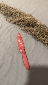 Pisau Buah & Dapur Mini Stainless Steel