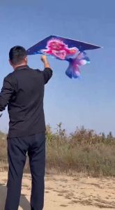 Adults kites flying outdoor toys ripstop nylon kites factory dragon kites line Outdoor toys beach kites comet koi for fun play