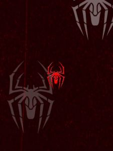 Kawasaki Racket SPIDER King Red With Racket Cover