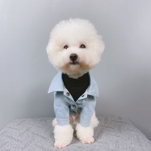 Pet Dog Jacket Pattern Small to Large Breed Teddy Golden Retriever French Bulldog Coat Template Dog Clothing Design Draft