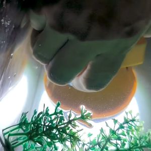 Senter Kepala Selam LED Super Terang & Waterproof Headlamp Lithium Outdoor Diving Flash Light Berkemah