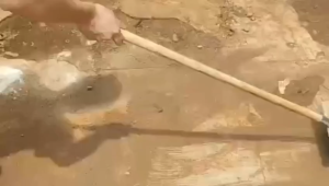 Bàn chải vệ sinh công nghiệp các kích cỡ sợi đồng sợi thép chà cọ rêu mốc các loại sạch bóng