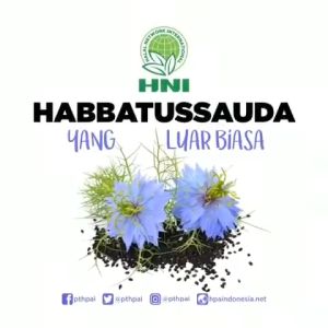 Obat Vertigo Paling Ampuh - Suplemen Kesehatan - Herbal Sakit Kepala - Habbatussauda Kapsul HPAI