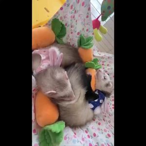 Christmas Dog Outfit Red Puppy Christmas Cloak Santa Cat Costume Xmas Dog Cape HolidayClothes Funny Dog Christmas Costume Accessories for Cats Small Medium Dog (Red Large)