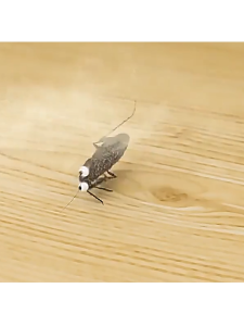 500ml Cairan Anti Ulat Bulu / Pembasmi Hama / Pembasmi Hama Tanaman Ulat Kutu Putih Jamur Hama Daun