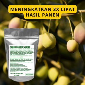 Pupuk Booster Zaitun Pelebat Organik Cepat Berbuah Lebat Besar Anti Rontok Pembesar Zaitun