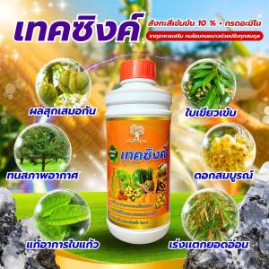 เทคซิงค์ สังกะสีสูตรเข้มข้น 10%+อะมิโน พรีเมียม ขนาด 1ลิตร ทนต่อทุกสภาพอากาศ เร่งการเเตกยอด เเตกใบ แก้อาการใบเหลือง ฟื้นต้นโทรม