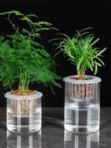 Simple round Cylinder High Borosilicate Glass Flower Pots for Lazy People Indoor Plant Hydroponics Green Ivy Water Absorption