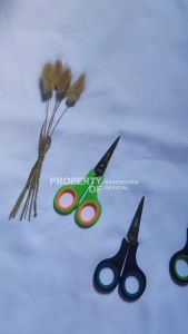 Gunting Kecil Warna Warni Scissors M2000 [SM-C140]