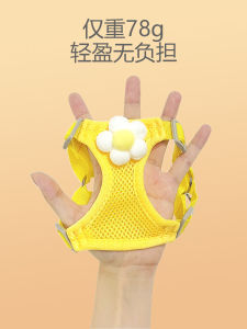 Breathable Mesh Dog Leash Chest Strap Anti-Escape Cat Vest Summer Puppy Leash Harness Pet Supplies Dog Walking Ties