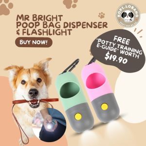 ✅[SG] MR BRIGHT POOP BAG DISPENSER & FLASHLIGHT ★ GREAT FOR NIGHT WALK ★ FREE Indoor & Outdoor Training e-Guide Worth $7★ Perfect for Gift