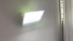 Parkson | LED Flood Light AC 220V 240V Outdoor Cold White IP66 Waterproof LED Lamp Garden Street Work Light High Brightness Floodlights