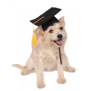 HEALMEYOU Party Dress Tassel Cosplay Photography Apparels Academic Cap Pet Graduation Caps Dogs Cats Hat