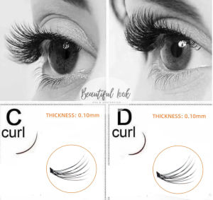10D C Curl D+ Individual False Eyelash Extension: Pure & Natural High-Quality Lashes