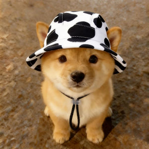 Petone dOrage | Sun Protective Pet Hat