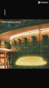 Lamptan ไฟเส้น ไฟริบบิ้น ไฟตกแต่ง LED Striplight SET SMD 8W แสงเหลือง ยาว 10 เมตร กันน้ำ มี driver