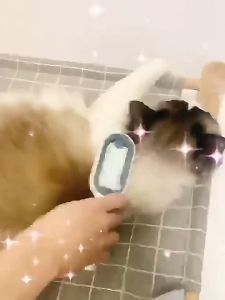 Pet cleaning hair removal comb Hair removal and cleaning in one Pet Brushes Fur Grooming Round comb Dog Brush Cat Brush