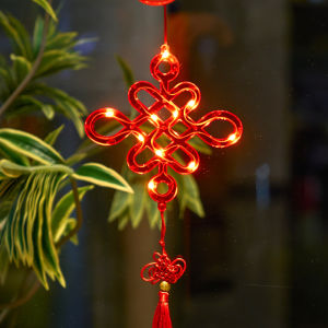 BEAUTY IN THE LIGHT | Festive Decoration Red Lanterns For New Year