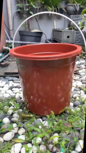 Ember Plastik 4 Galon: Wadah Penampungan Air Serbaguna