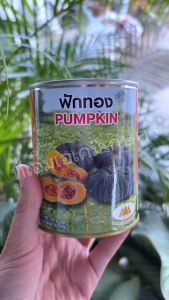 เมล็ดฟักทอง ผิวคางคก เนื้อหนา ผลดก หวานมัน ตราภูเขาทอง ขนาด 50กรัม