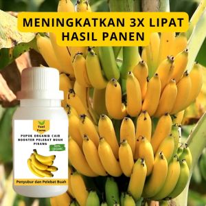 Pupuk Booster Pisang Cair: Pupuk Berkualitas Tinggi untuk Tanaman Pisang