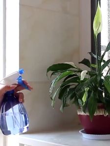 Spray Bottle Watering 500ml Plastic Empty Can Hairdresser Sprayer Gardening Flowers Plants Watering Bottle Household