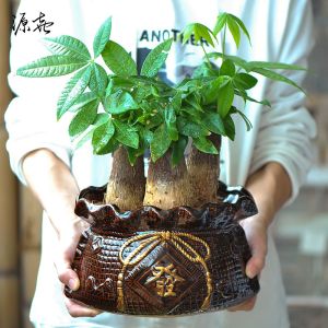 Large Ceramic Potted Succulent Plant Pot for Orchids and Greens Chinese Wind Style Decorative Flower Pot for Desktop and Ground