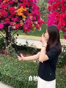 Phone Holder Cimapro CP10 Bracket Dudukan ponsel kamera dapat diputar 360 Tripod original 100%