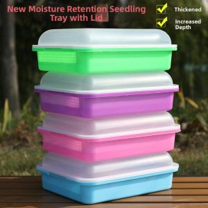Hydrating Cover Sprout Seed Tray with Dense Grid