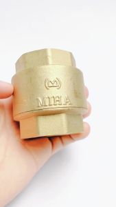 Van Một Chiều Lò Xo MIHA Lúp Pê Một Chiều Lò Xo Đồng Thau Minh Hòa 21 27 34