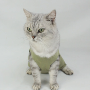 Baju Kucing Anjing Laki-laki Dan Cewek Lucu Murah 5 Ribu Aksesoris Kucing - BUKIPET JEEP WILD ROAD TANK SERIES