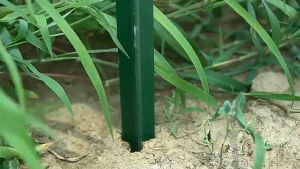 10/50/100 Meters Steel Barbed Fence anti-climb steel sharp razor protect fence galvanized anti-rust steel wire Barbed wire