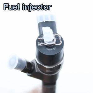 0445110279 0445110186 Auto Parts Diesel Common Rail Fuel Injector 33800-4A100 For HYUNDAI H1 (STAREX) / KIA SORENTO 2.5 CRDi