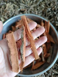 1kg Vỏ Cây Gáo Vàng - phơi khô