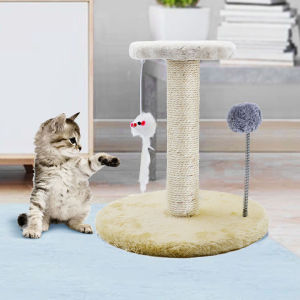 Vertical Cat Claw Frame & Sisal Cat Scratch Pad: A Comprehensive Guide