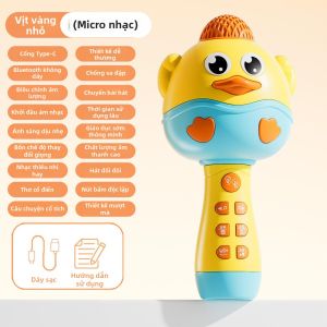 ZHENMIAO | Micro Không Dây Bluetooth để Hát