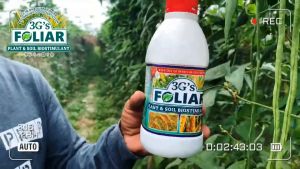 3GS SUPER FOLIAR (JAPAN TECHNOLOGY)   SOIL & PLANT ADJUVANT BIO-STIMULANT LIQUID BIO-FERTILIZER