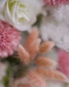 Bergo Instan Syari Jumbo Pet Kalima & Jersey Super By Kartika Hijab