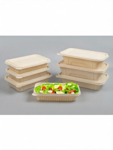 MOLORE | Biodegradable Two-compartment Meal Box Eco-friendly Disposable Rectangular Container