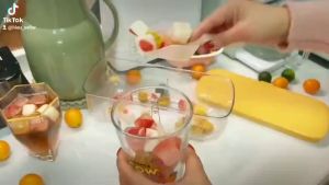 Khay làm đá thông minh 48 viên có nắp đậy kèm hộp đựng và thìa xúc