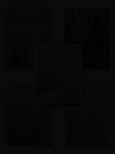 KAOS ATASAN WANITA LENGAN PANJANG - ATASAN DAUNITA