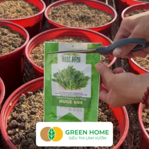 Hạt Giống Cải Ngồng Siêu Bông Huge GreenHome Gói 5gr~1000 hạt Dễ Trồng Quanh Năm Thân Mập R25