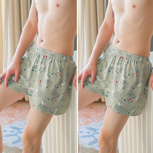 Baisina | Breathable Flat Front Boxer Shorts