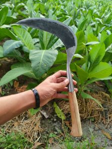 arit baja isin cap 11 berkebun dan bertani