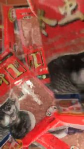 Gói mồi câu cá Chép Trùng Chỉ - N&S