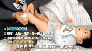 CHERRY Sensory Therapy Brush Therapressure Brush Wilbarger Protocol For Autism ADHD Calming Soothing Sikat Sensori