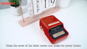 NIIMBOT B21 Label Printer Maker Portable Bluetooth Thermal Printer Small Price Tag Sticker