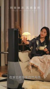 DAEWOO dual airflow bladeless fan plasma purification tower fan electric fan frequency conversion light sound high air volume floor-standing circulation fan AM09